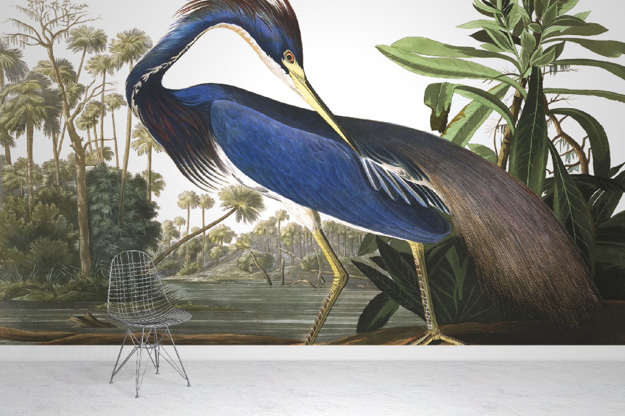 Louisiana Heron Wallpaper Mural