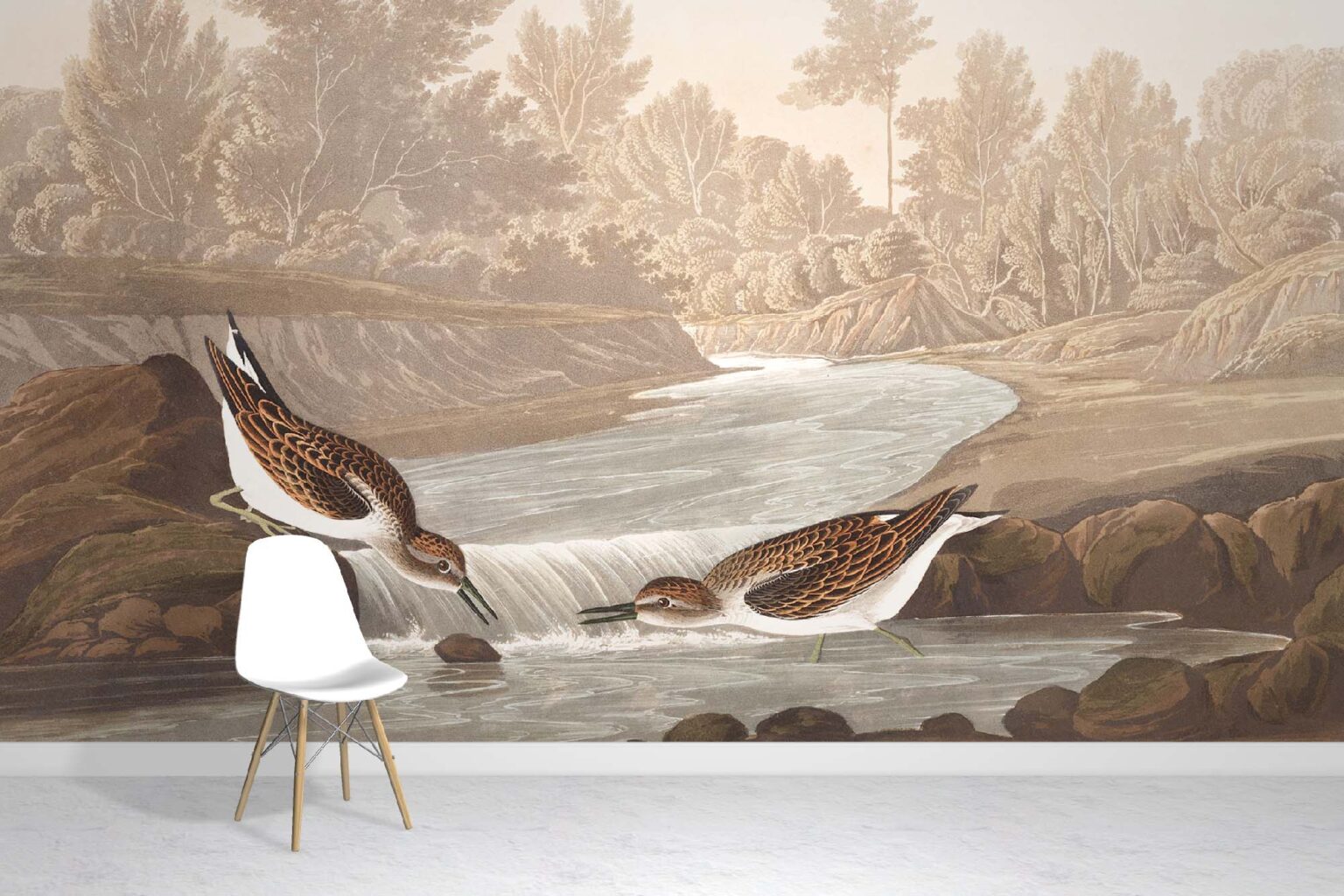 Little Sandpiper Wallpaper Murals - Birds Wallpapers - Wall Murals