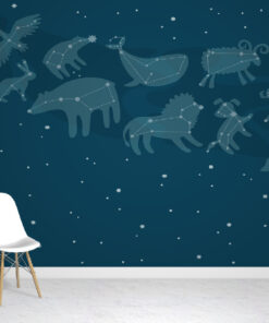 Constellation Fun wallpaper mural